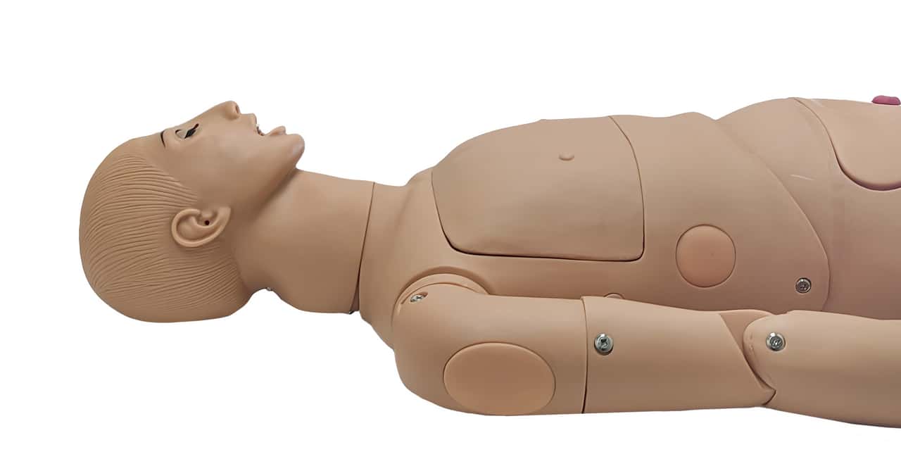 Full Body Healthcare Simulation Manikins Find the Best Selection of
