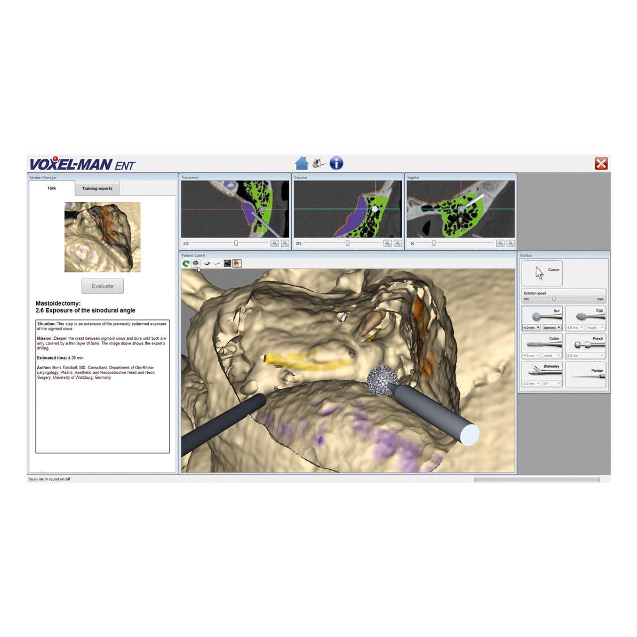 3B Anatomical Chart -Human Ear, 20 x 26'' 3B Anatomical Chart -Human Ear, 20 x 26''
