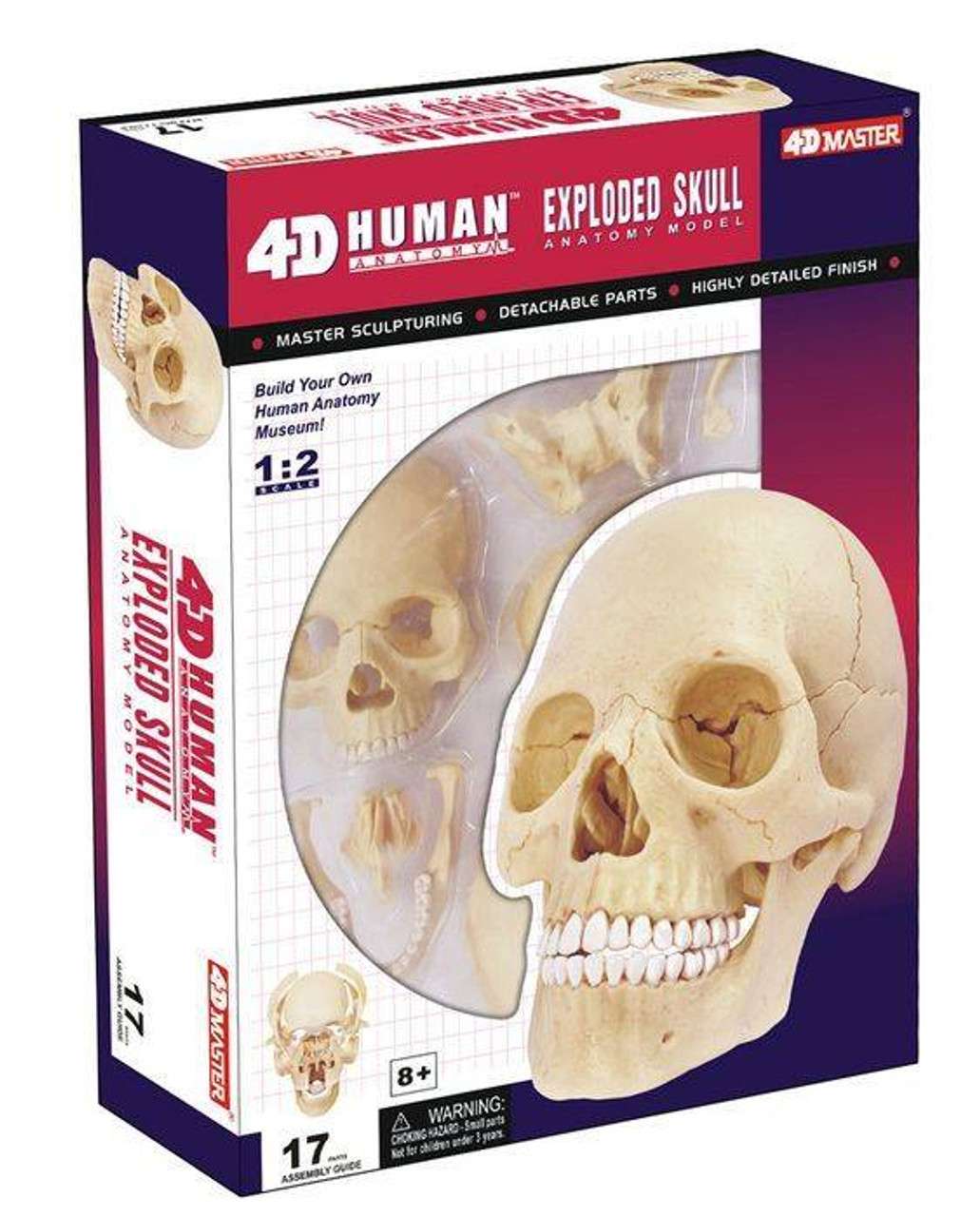 Supreme 4D Model Human Exploded Skull with Gold Grill FW23