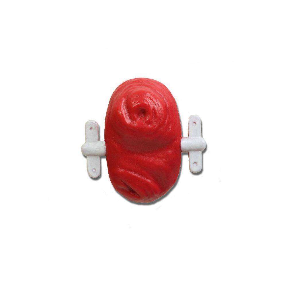 VATA Loop Stoma With Rod | Anatomy Warehouse