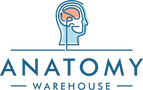 Anatomy Warehouse