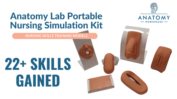 Anatomy Lab Portable Nursing Simulation Kit Anatomy Lab Portable Nursing Simulation Kit