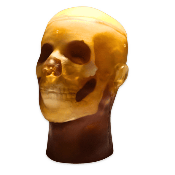 Adult Head QC1 for X-Ray CT and MRI Phantom Model Adult Head QC1 for X-Ray CT and MRI Phantom Model 1