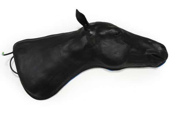 Equine Simulator 1.0 Equine Simulator 1.0