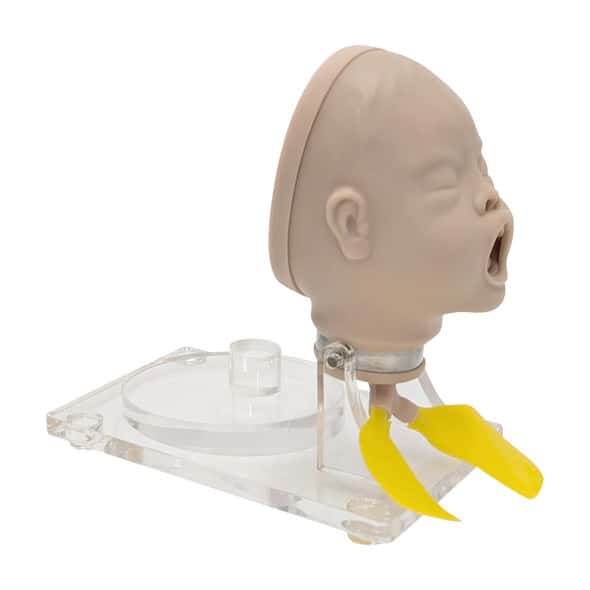 Anatomy Lab Neonate Airway Management Trainer Anatomy Lab Neonate Airway Management Trainer