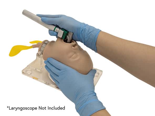 Anatomy Lab Neonate Airway Management Trainer Anatomy Lab Neonate Airway Management Trainer 1