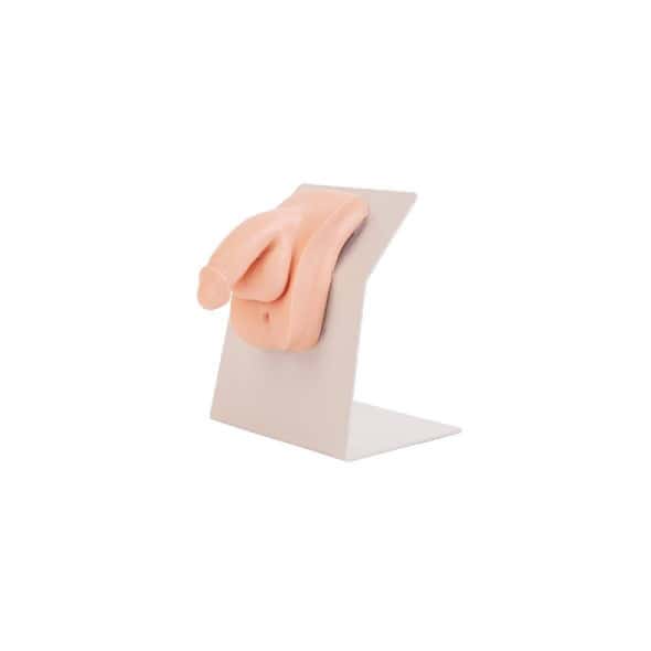 Anatomy Lab Advanced Portable Male Catheterization Model Anatomy Lab Advanced Portable Male Catheterization Model
