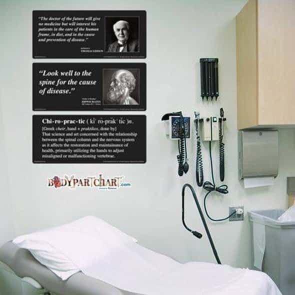 Chiropractic Quotes Signage Dry-Erase Sticky Wall Chart - 27 in x 40 in Chiropractic Quotes Signage Dry-Erase Sticky Wall Chart - 27 in x 40 in