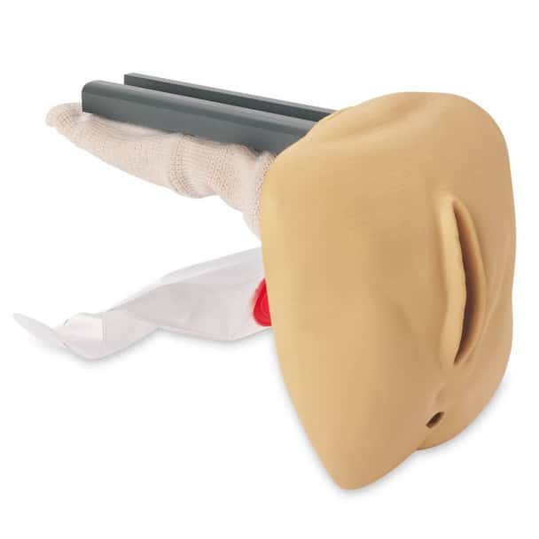Life/form GERi/KERi Replacement Female Genitalia - Light