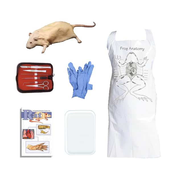 Rat Dissection Kit