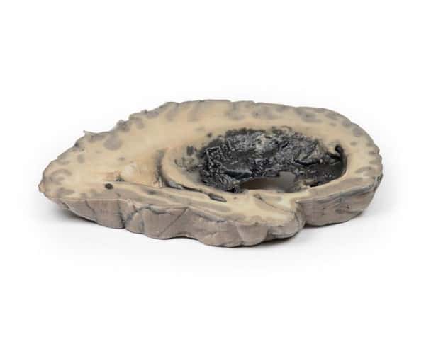 3D Printed Cerebral Haemorrhage
