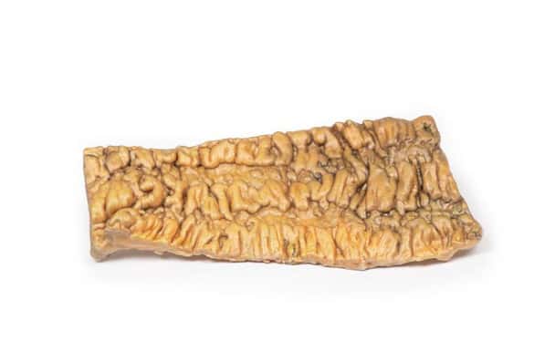 3D Printed Ulcerative Colitis