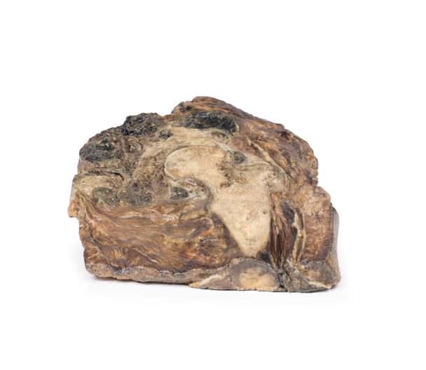 3D Printed Chondrosarcoma of Femur and Ilium