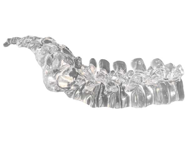 FlexBone Training Model - Lumbar Spine, L1 to Sacrum