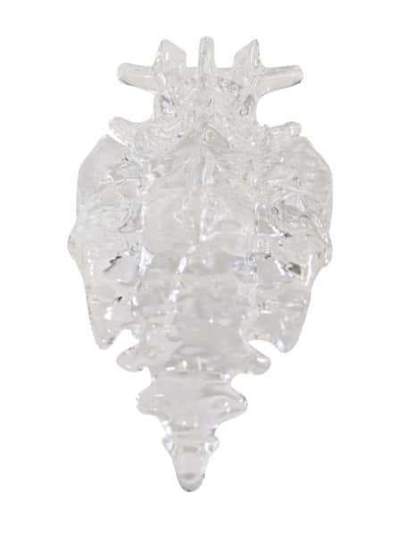 FlexBone Training Model - Lumbar Spine, L4 to Sacrum