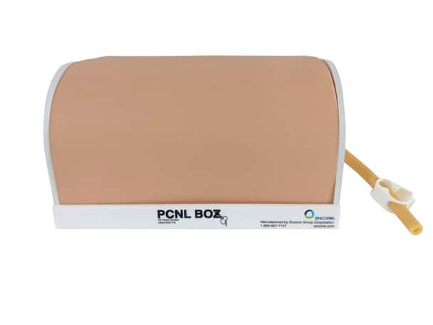 Encoris PCNL Kidney Training System Model with Case