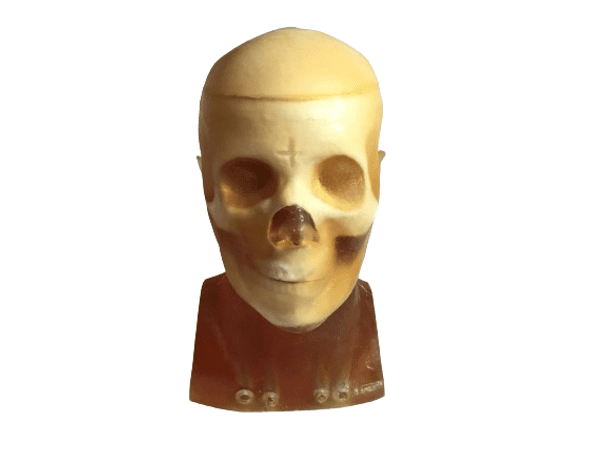 Openable Adult Male Head Phantom