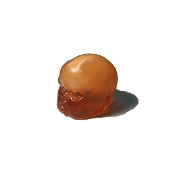 Newborn Baby Complex Head Phantom Model