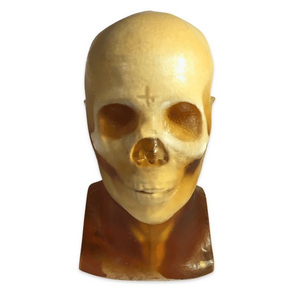 Adult Head X-Ray/CT and MRI Training Phantom Model