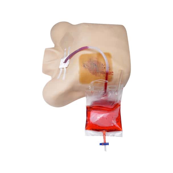 Anatomy Lab Pneumothorax Trainer - Overview