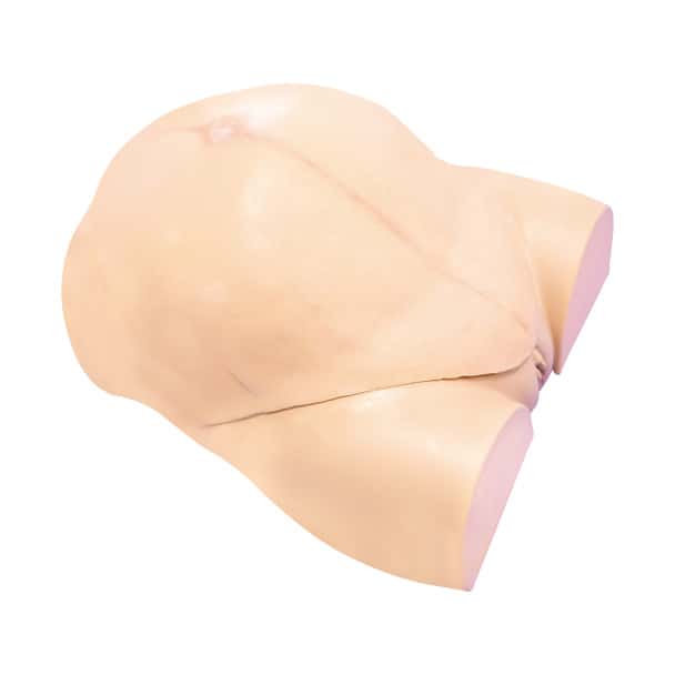 Anatomy Lab Wearable C-Section Simulator - Overview