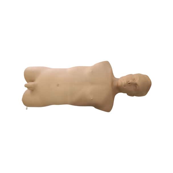 Anatomy Lab FAST Ultrasound Training Phantom - Overview