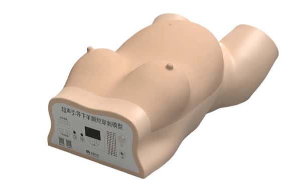 Anatomy Lab Amniocentesis Ultrasound Trainer - Overview