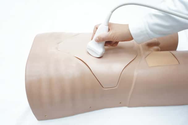 Anatomy Lab Abdominal Ultrasound Phantom - Overview