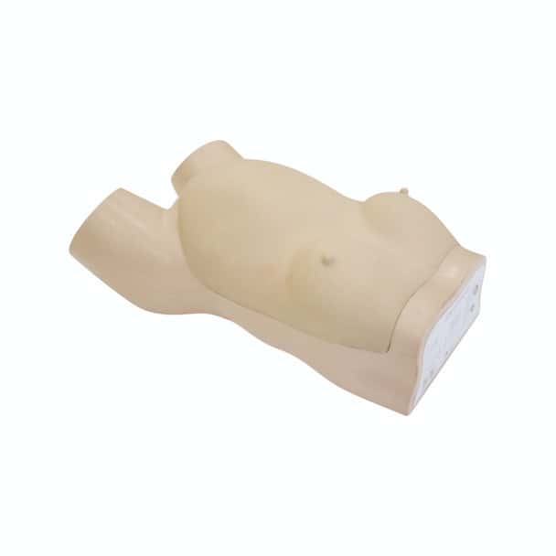 Anatomy Lab Obstetric Examination Trainer Torso - Overview