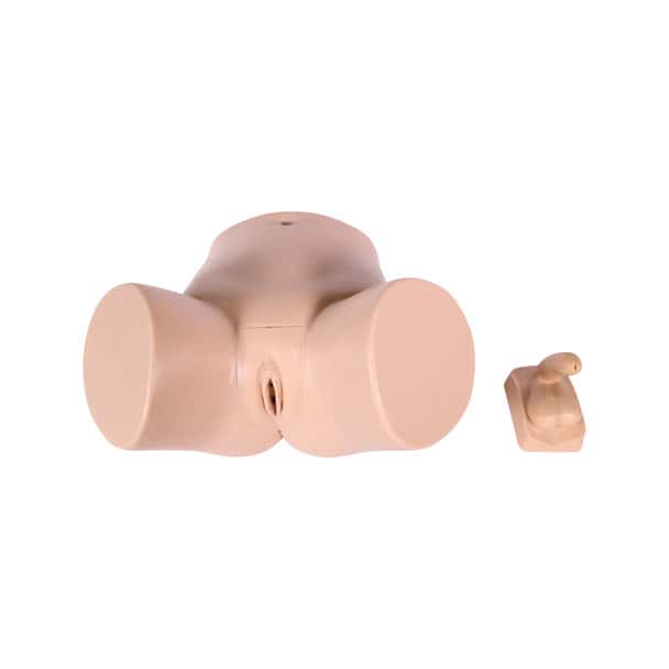 Anatomy Lab Catheterization Model - Overview