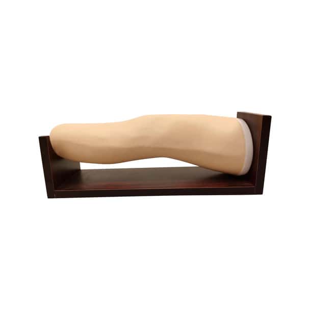 Anatomy Lab Knee for Joint Injection - Overview