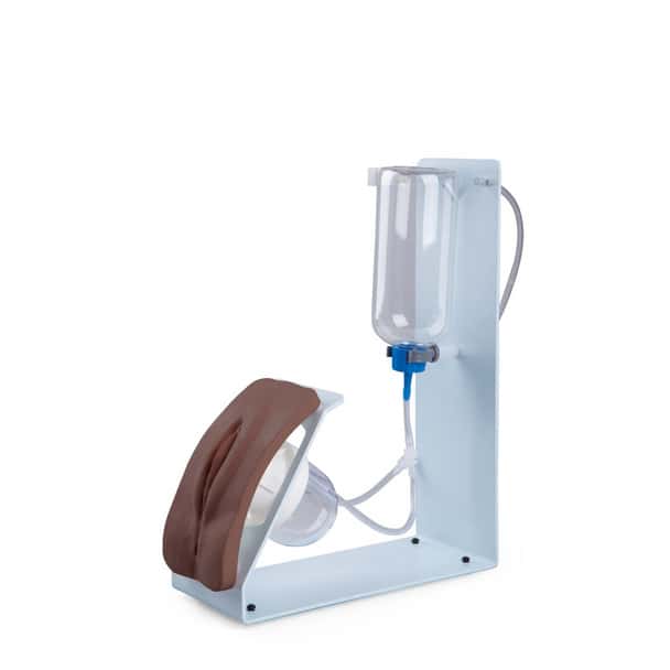 Basic Female Catheterization Simulator, Dark Skin