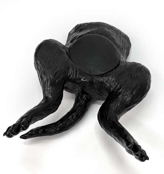 Dog Bladder Ultrasound Trainer