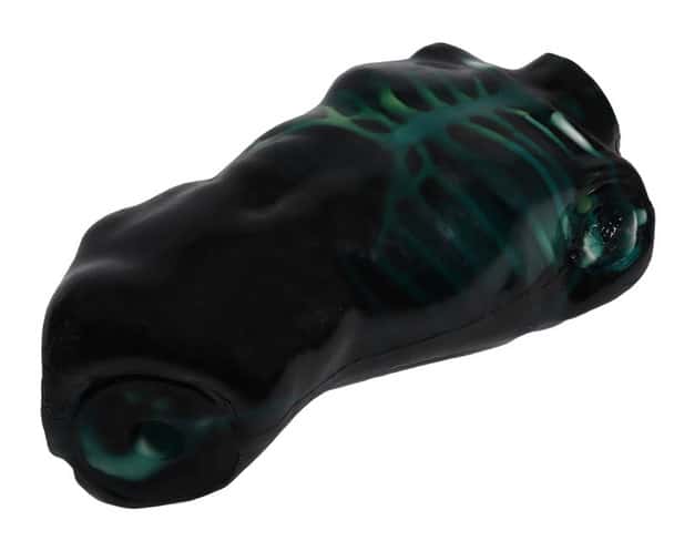 "Echo Eddie" Advanced Ultrasound Examination Trainer