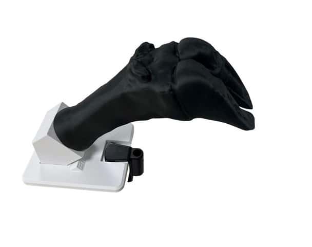 Bovine Hoof Bandage Simulator