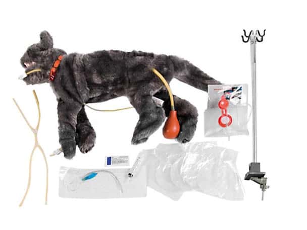 "Fluffy" Critical Care Feline Manikin