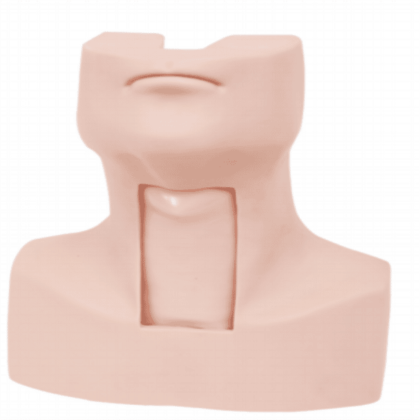 The simulator is an ideal choice for training and practicing of thyrocricocentesis and tracheotomy.