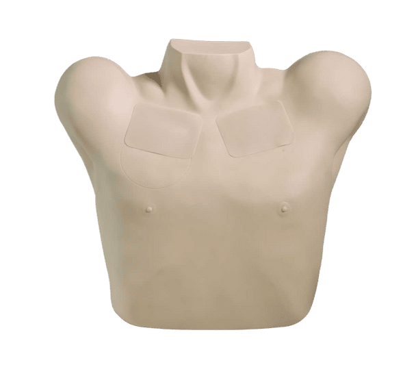 The Anatomy Lab Pneumothorax & Chest Drain Model