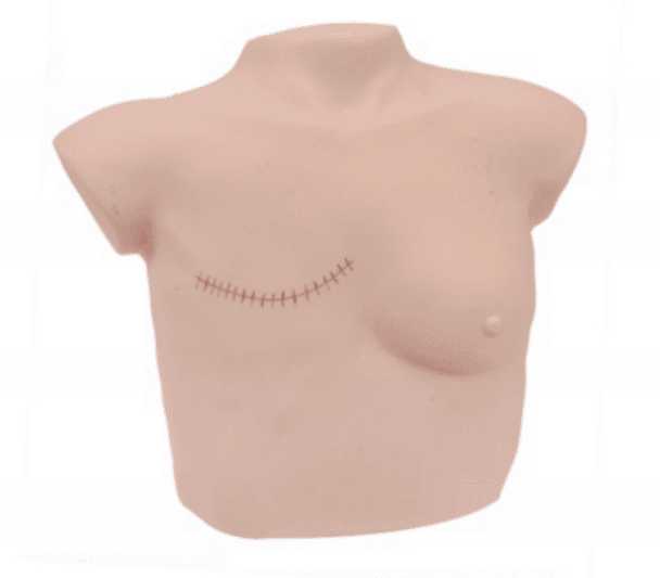 Wearable Breast Palpation Training Model