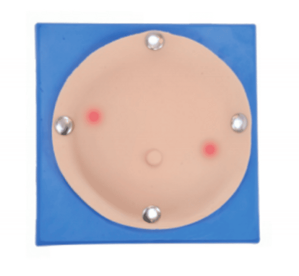 This model is designed for practicing breast abscess inspection