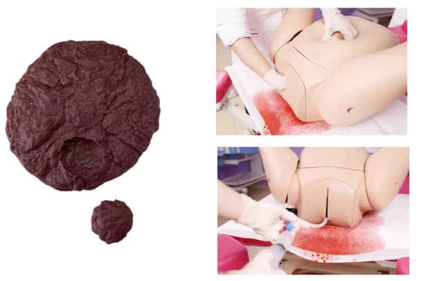 The Anatomy Lab Complete Postpartum Hemorrhage Simulator