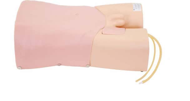 Anatomy Lab Abdominocentesis and Femoral Vein Puncture Simulator