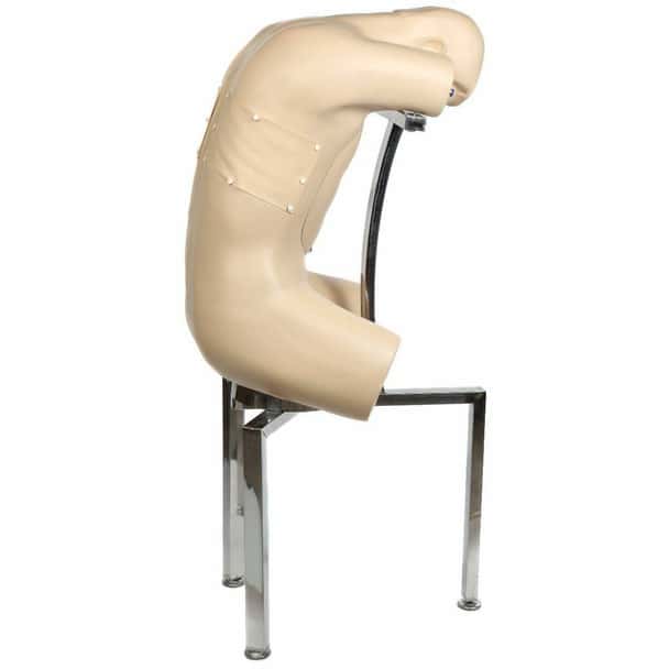 Anatomy Lab Adult Thoracentesis Simulator