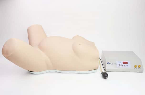 Anatomy Lab Maternity Model