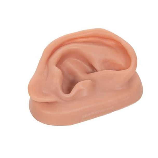 Acupuncture Right Ear Model