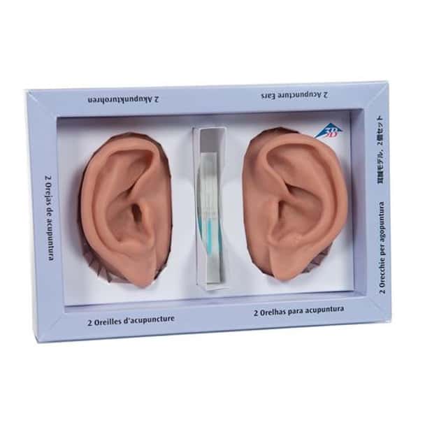 Acupuncture Ears Anatomy Model Set