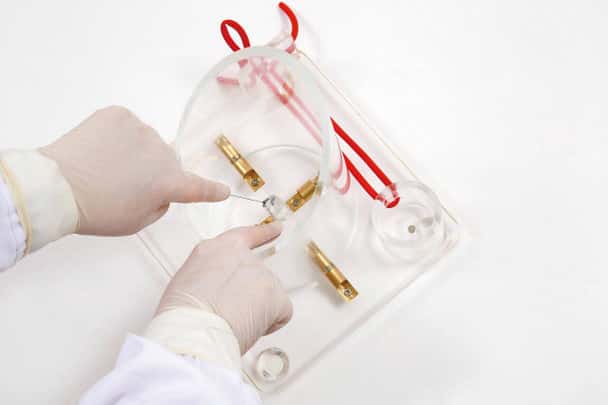 Anatomy Lab Knot Tying Trainer