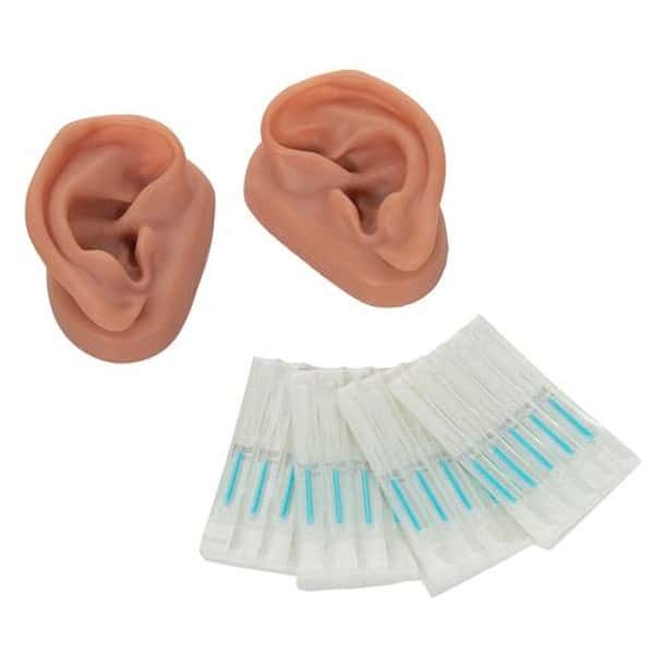 Acupuncture Ear Anatomy Model - Set of 10