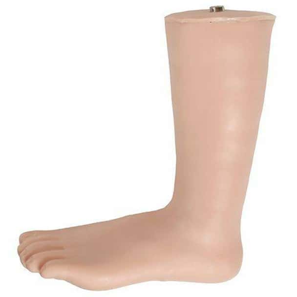 Anatomy Lab Ankle Injection Model