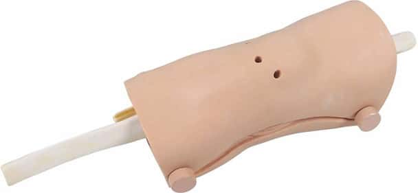 Anatomy Lab Knee Arthroscopy Model